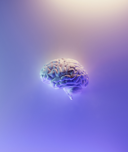 A purple 3d render of a brain